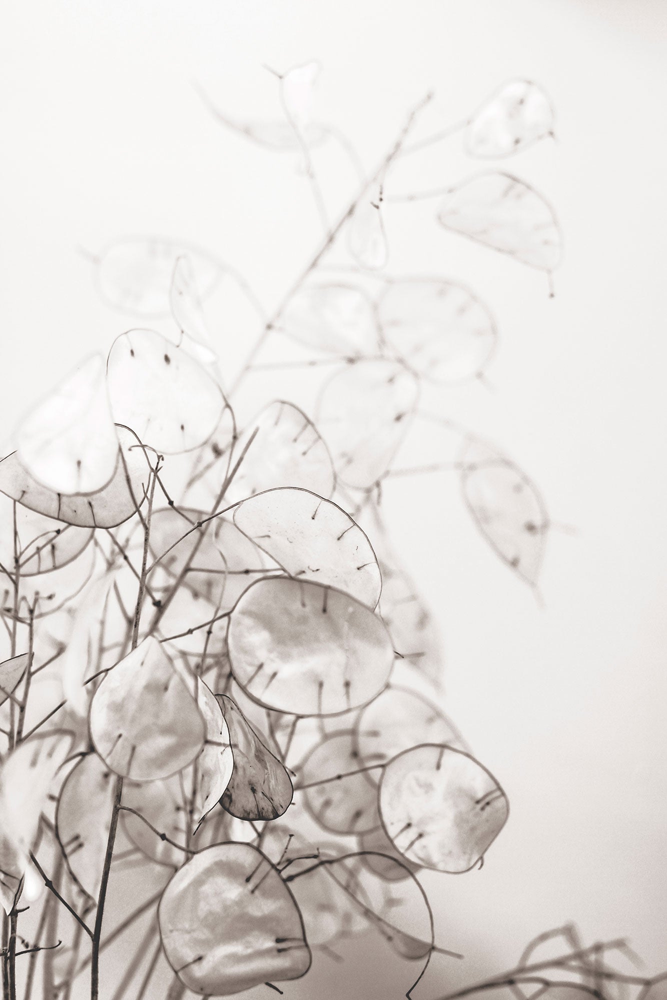 Inspiration Lookbook juillet 2020 – Photo personnelle - La Ligne Numérotée une maison créée par Francoise Misiraca et Charlotte Sauvat.