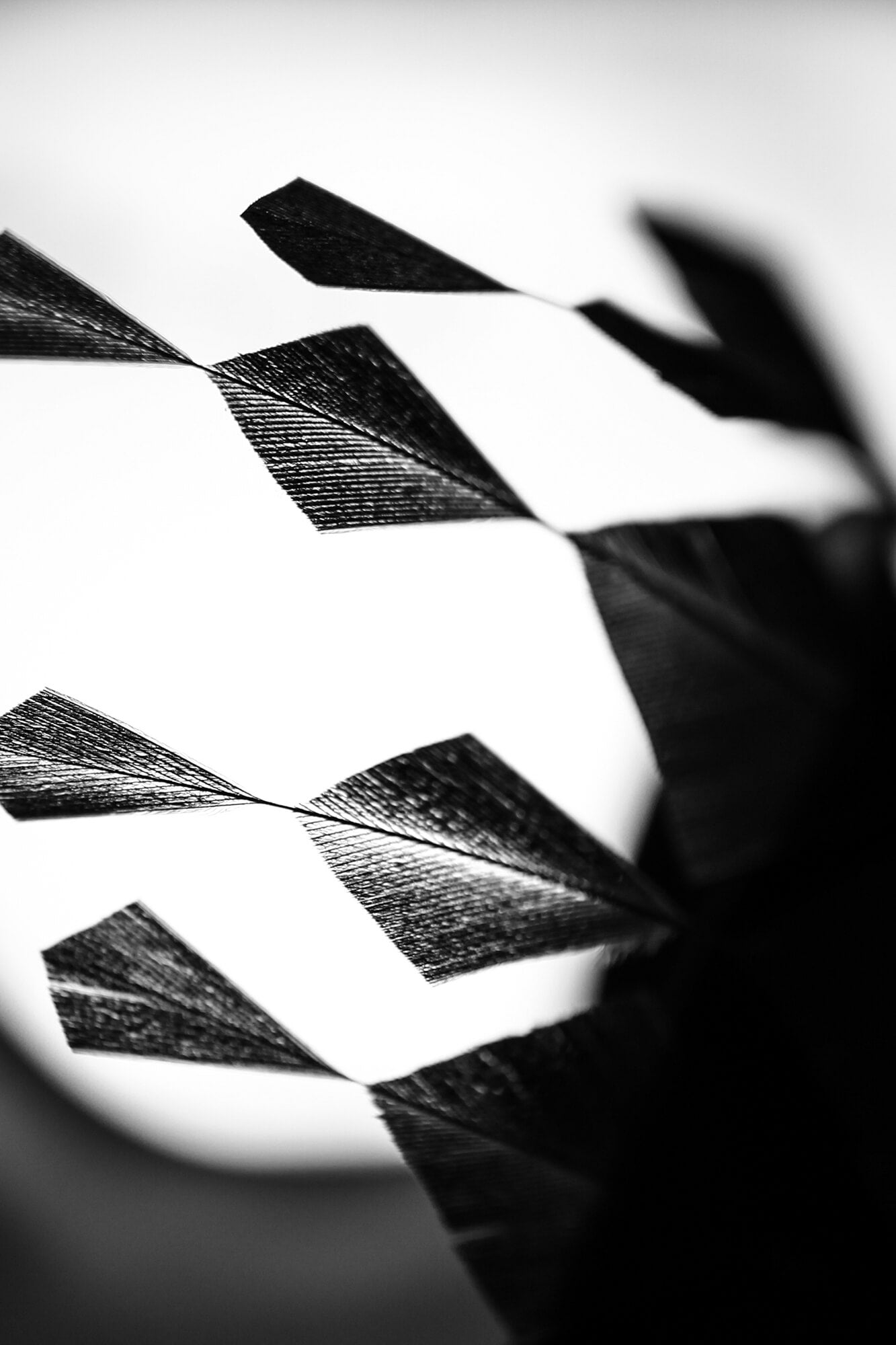 L'Envolée - Sandale femme talon haut – Edition Limitée – une édition exclusive brodée à la main à Paris, par la designer textile Janaïna Milheiro - photographe Mathieu Catonné - La Ligne Numérotée.